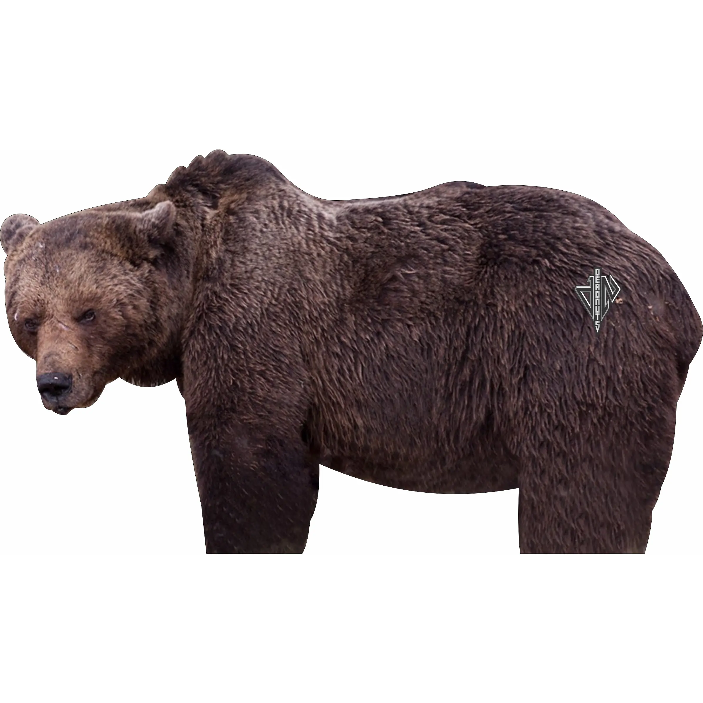 2D Grizzly Bear Broadside