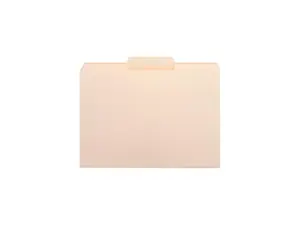 Business Source 16491 Top Tab File Folder - 8.50" Width x 11" Length Sheet Size - 0.75" Expansion - 1/3 Tab Cut - Center Tab Location - Manila - 100 / Box, 1 Box