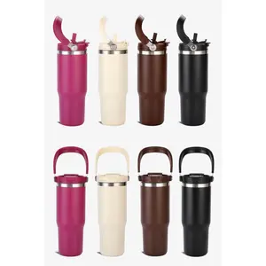 30 oz 2 in 1 Lid and Straw Tumbler with Handle