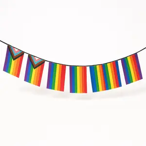 Mini Progressive Pride Flag Banner