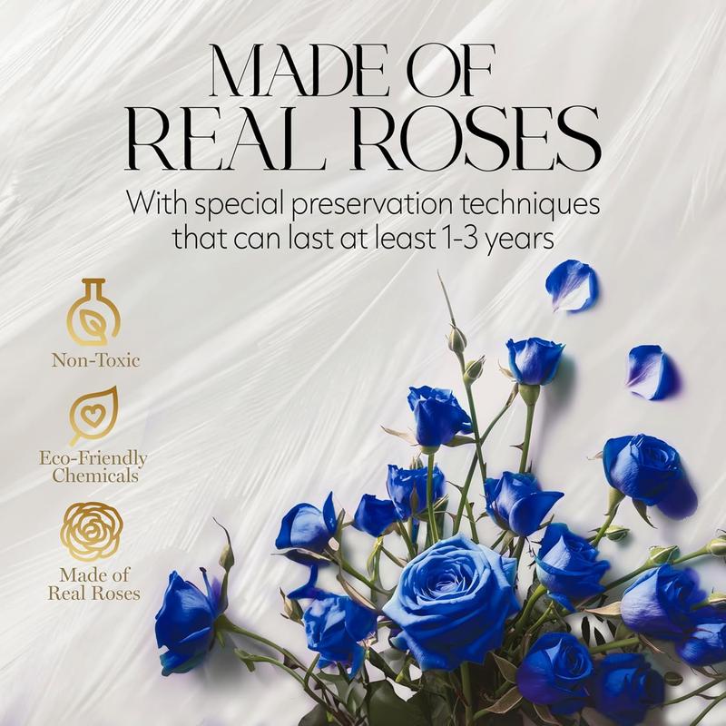 Eternal Prestige Velvet Black | 12 Blue Roses  Decor Box