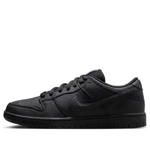 Nike SB Dunk Low Pro 'Triple Black' FJ1674-001