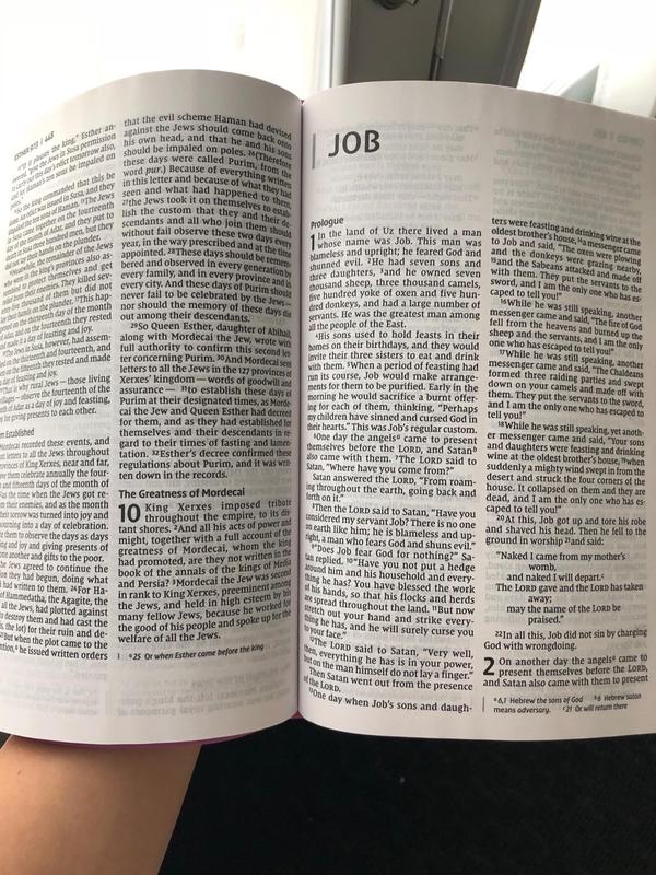 NIV Thinline Bible – Large Print, Pink Leathersoft, Comfort Print (Value Edition) Imitation Leather