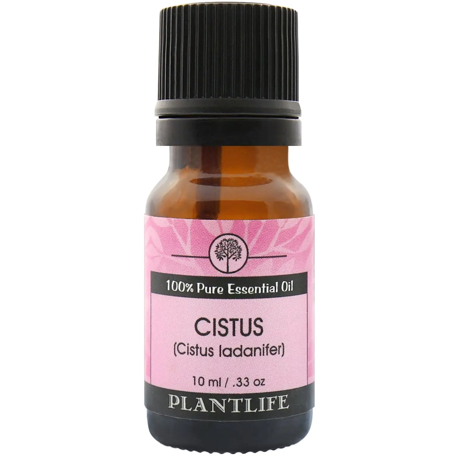 Plantlife Cistus Essential Oil 10 ml – Warm Resinous Aromatic Oil for Grounding & Meditative Blends