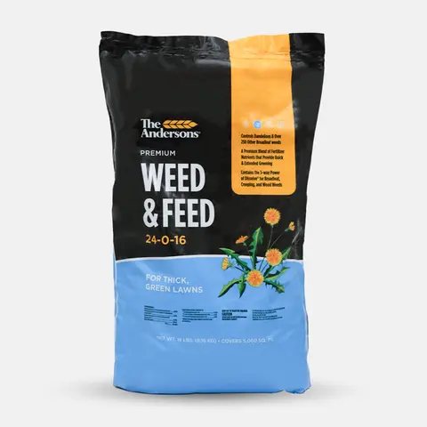 The Andersons Premium Granular Weed & Feed 24-0-16 Bagged Plant Fertilizer - Iron-Rich Outdoor Lawn Treatment, Spring/Fall App, Post-Emergent Broadleaf Kill, Dandelion Control, Quick-Slow Release, Fast Green Boost for Thick Lawns