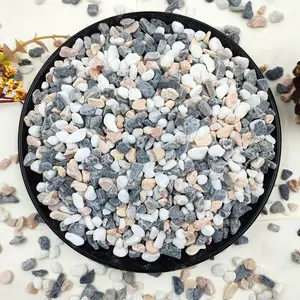 2LB Succulent and Cactus Gravel Pebbles, 1/5 Inch  Decorative Polished Stones, River Rocks for Vases, Aquariums, Terrarium and Outdoor Gardening, Mixed Color