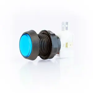 Small Blue Plastic Mechanical Push Button