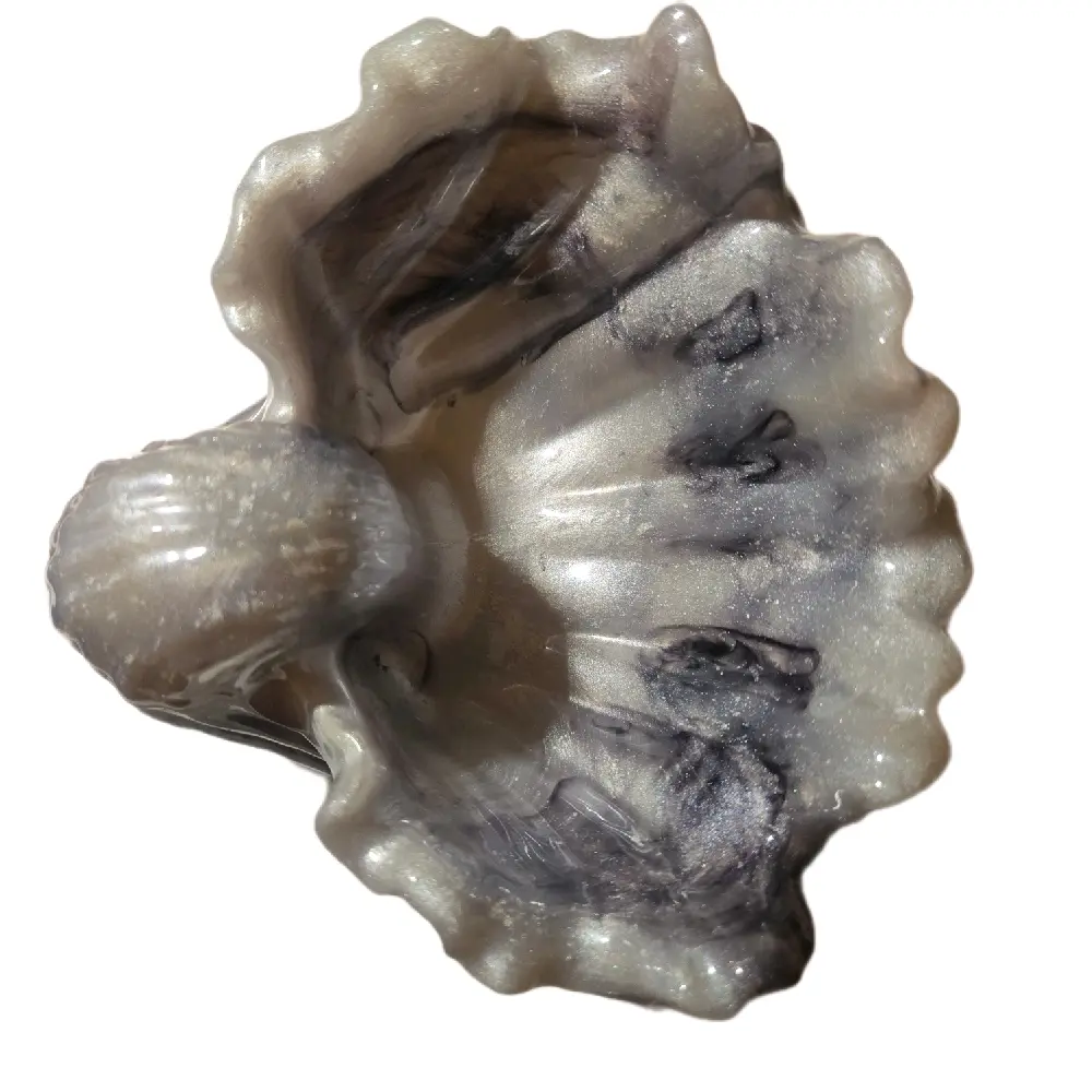 white pearl with black big sea shell