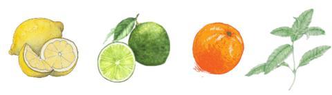 Citron Verbena Room Spray