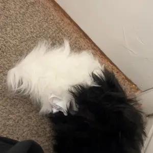 Gradient color bow plush tail detachable wearable decorative tail cosplay soft cute accessories girl outfit artifact