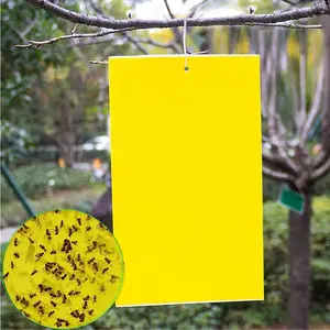 20Pcs for Plant Double Sided for Gnats with Twist Ties Fly Traps for Fruit Insect Fungus Bugs Indoor Outdoor