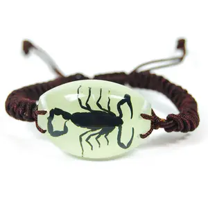 Glow in the Dark Oval Shaped Pendant Bracelet with Real Black Scorpion
