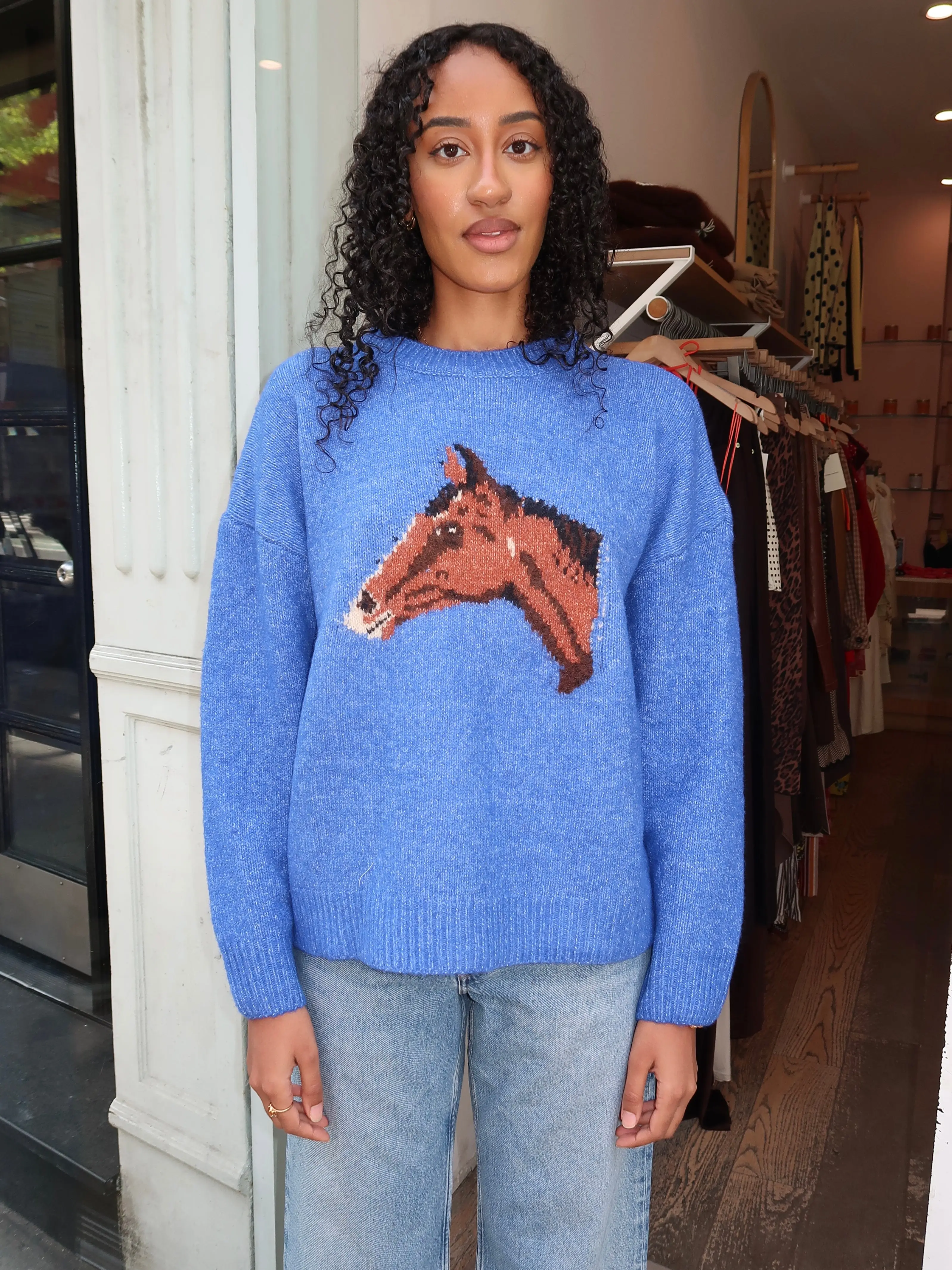 Wynie Horse Sweater in Blue