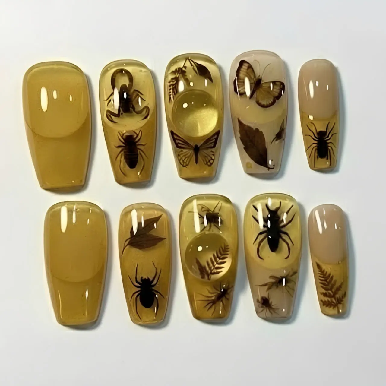 Dark Academia Amber Insect Press On Nails | Vintage Butterfly Spider Beetle Resin Handmade Jelly Coffin Nail Set | Nature Specimen Custom Nails
