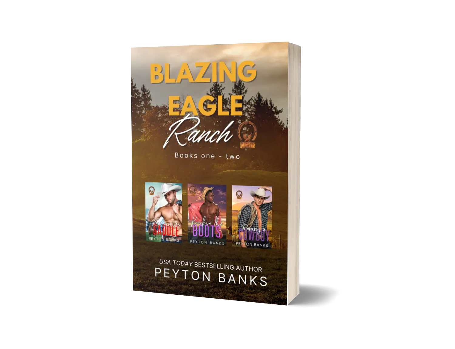 Blazing Eagle Ranch books 1-2- Signed paperback- Collection of Cowboy Romance Reads