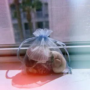 Handpicked Sea Shell Lot, Sea Witch Kit, Sea Witch Tools, Beach Witchcraft, Healing Spells, Self Love Spell, Protection Spell Kit