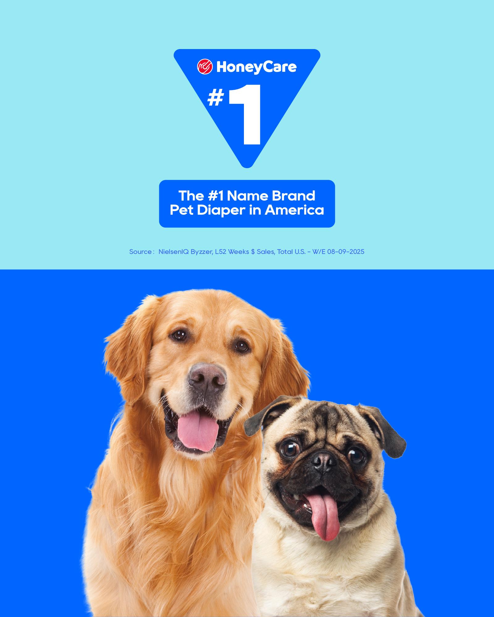 HoneyCare Petrichor Male Dog Diaper, Camellia Fragrance, Emits Fresh Scent While Absorbing Urine, Thin & Breathable,  4 in 1, SummerVibes petlovers tiktokshopspringglowup