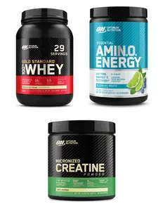 Optimum Nutrition Creatine Powder 60 srv + Whey 2lb Vanilla Ice Cream + Amino Energy Blueberry Mojito - Bundle