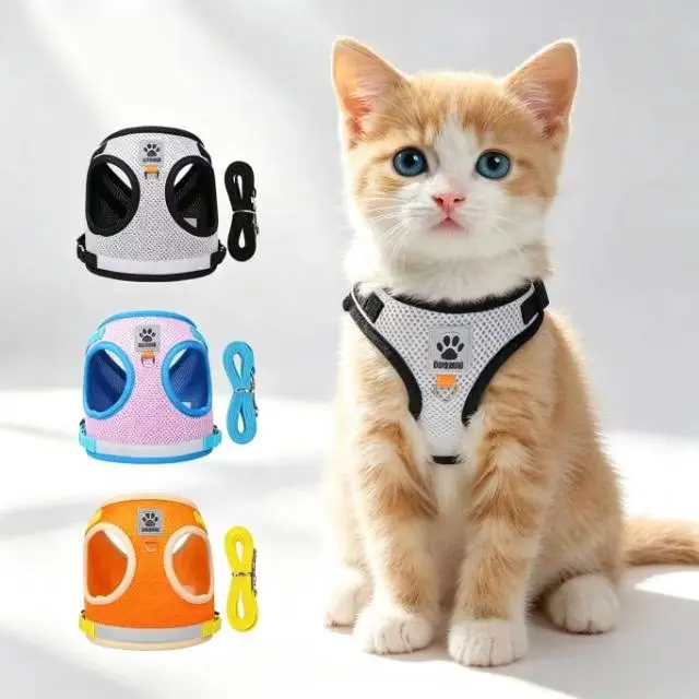 Dog Harness Leash Set - Adjustable Vest-Style M Size Puppy Harness with Durable Reflective Strip, Breathable Mesh, Neck-Free Control, Choking Prevention for Outdoor Walking, Parks (Leash Included, Pet Supplies for Small/Medium Dogs)