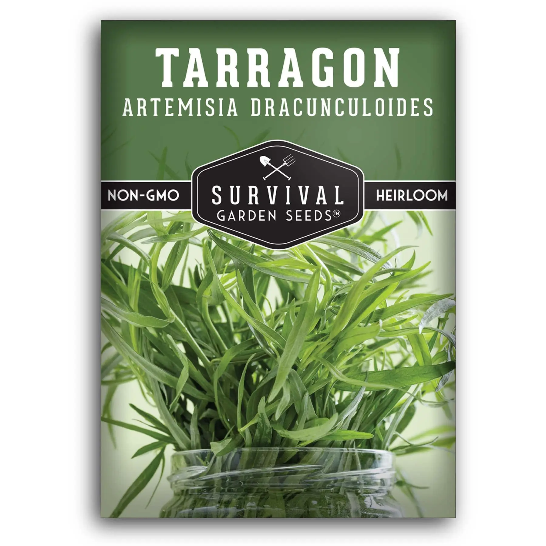 Russian Tarragon Seeds for Home Gardening