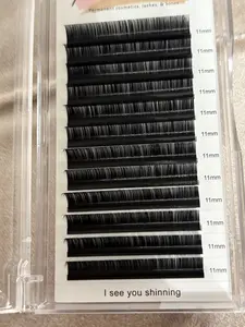 Premier Beauty eyelash extension for professional individual eyelash extensions 12mm .05 D curl Eyelashes Extensions Lightweight Cosmetic Makeup