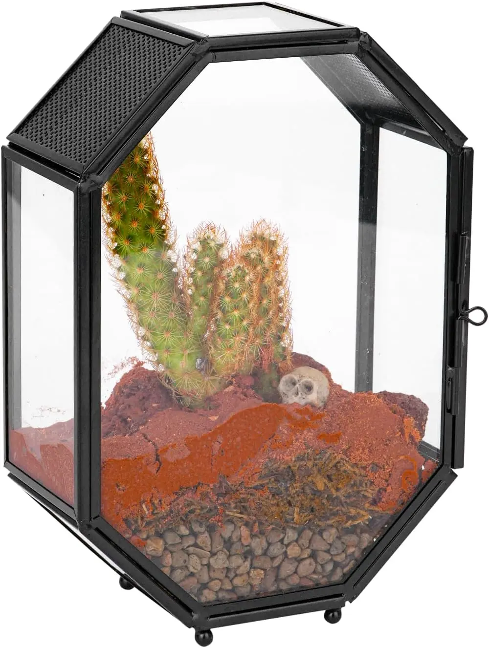 Small Octagon Black Mesh Vented Glass Terrarium for Jumping Spiders - 5 x 2.3 x 7 Inches, Door, Airflow Ventilation, Tabletop Decor (Terrarium Only)