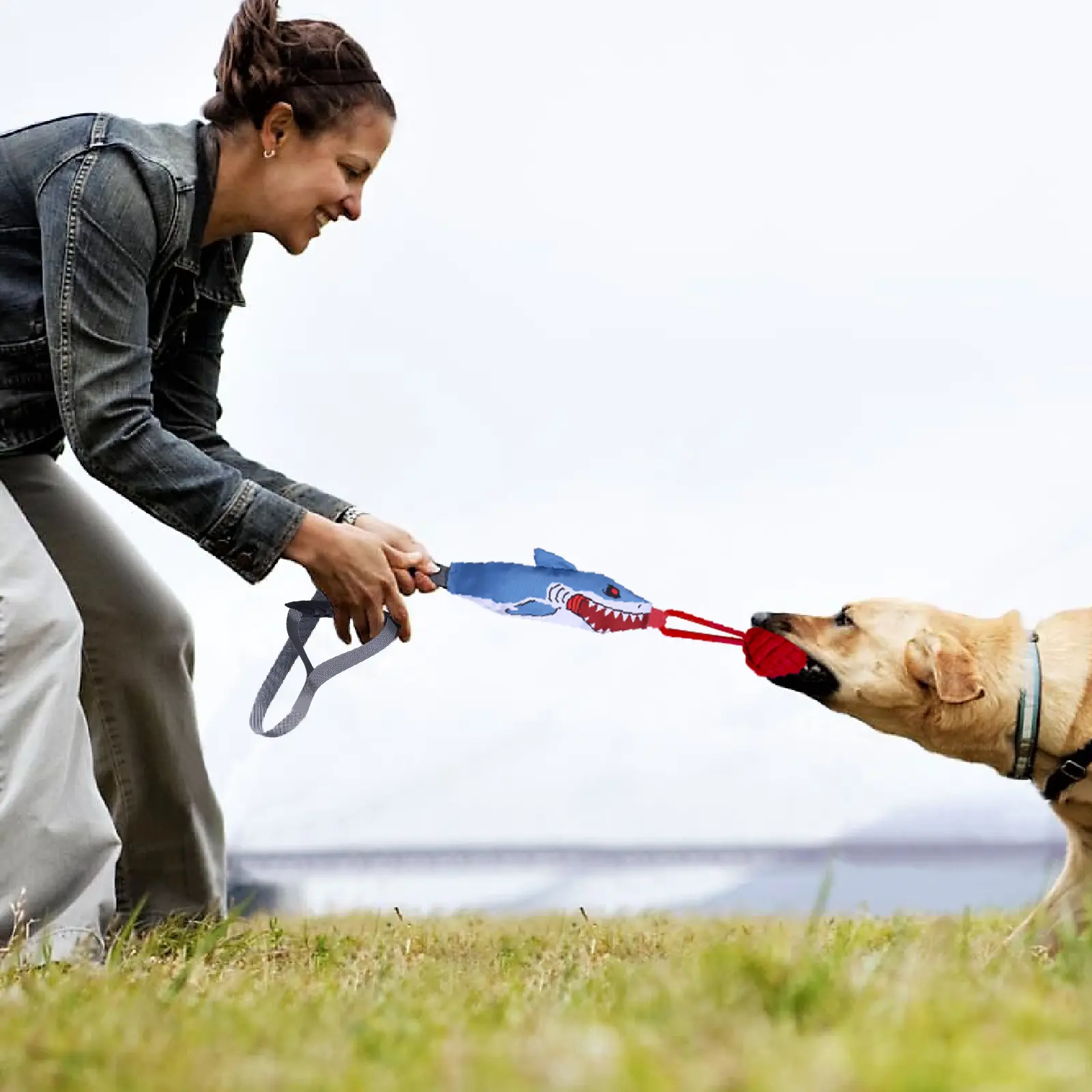 Dog Toy Shark Shape Interactive Pull Toy for Pets Engaging Playtime Accessories