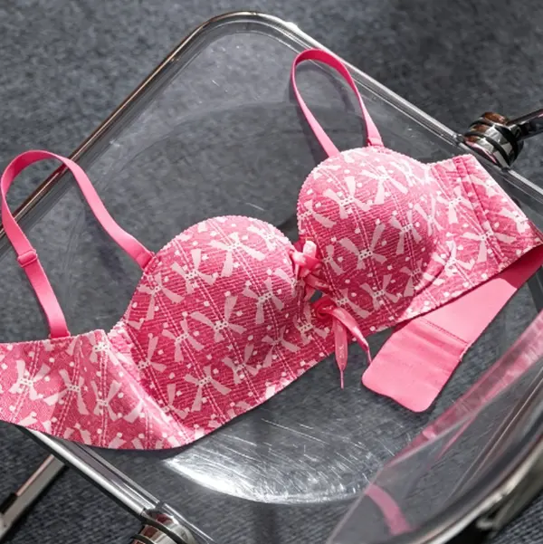 Women's Plaid Push-Up Bra, Padded Unlined, Lace Back, Lightweight Comfort, All Seasons, Hand Wash