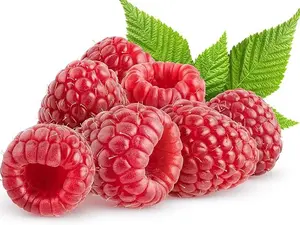Red Raspberry Seeds Pack Easy Growing for Indoor Outdoor Gardens Perfect for Backyard Landscaping Ideal for Fruit Lovers and Home Gardeners Great for Year Round Gardening