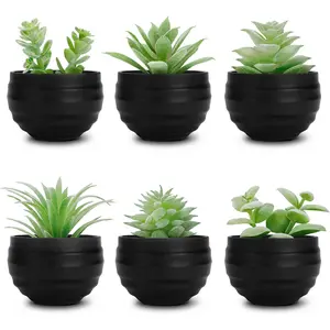 Der Rose Set of 6 Succulents Plants Artificial in Pots Small Fake Plants for Halloween Decorations Bedroom Living Room Office Shelf Black Bathroom Decor