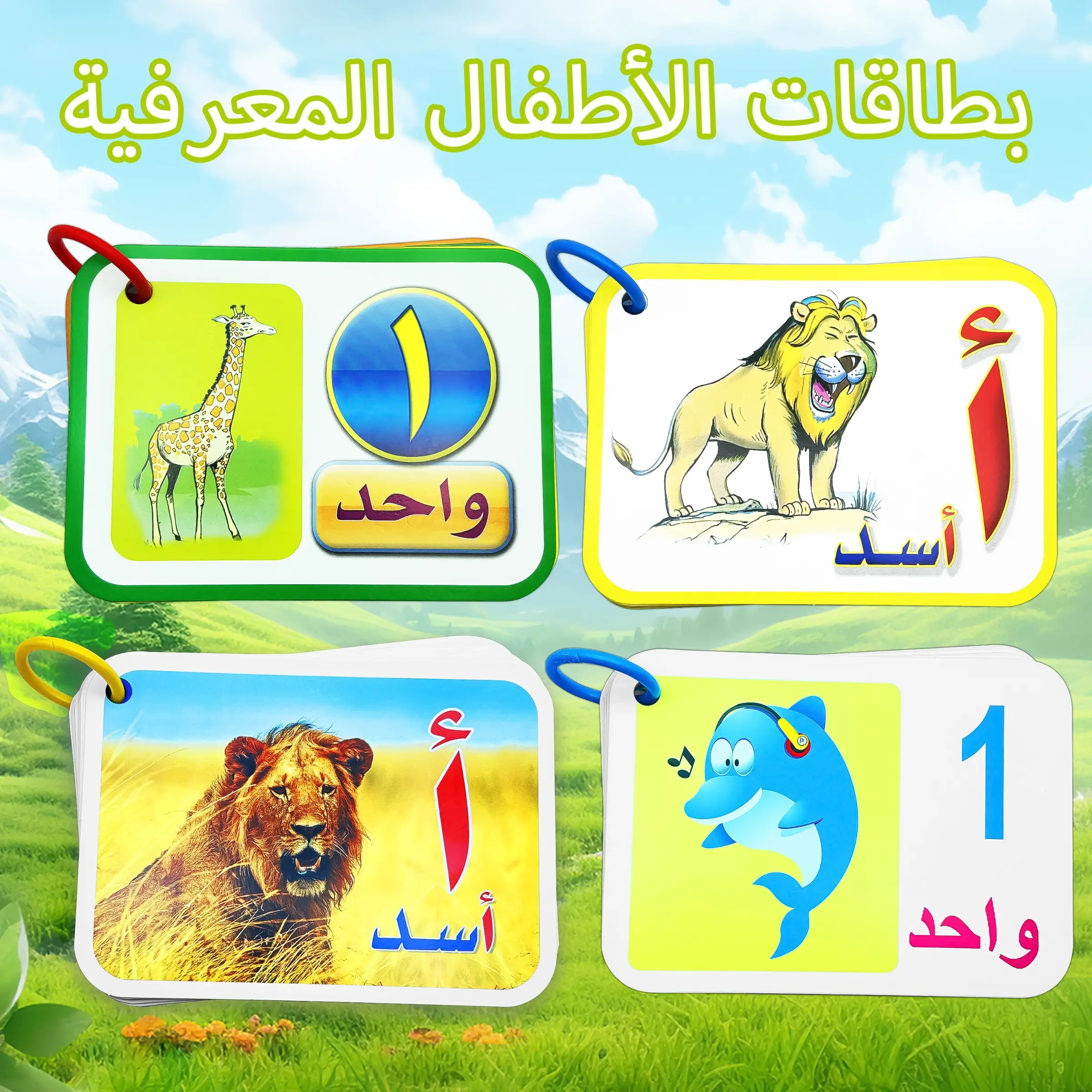 Arabic Toddler Cognitive Flashcards, 4 Options Available, Animal Letters Numbers, Alphabet Flashcards, Early Education, Arabic Learning, Preschool Education