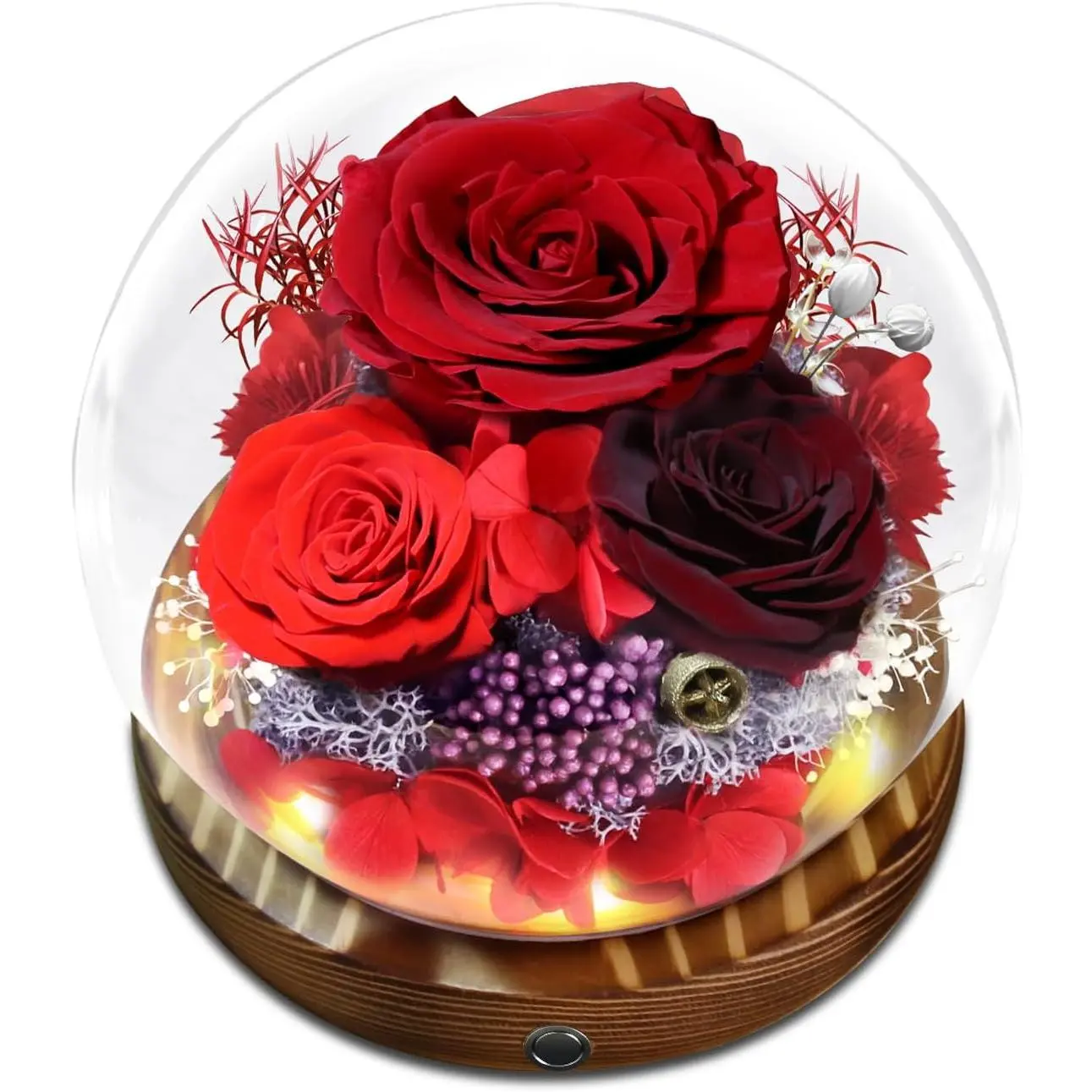 Preserved Flower Red Rose in Glass, Eternal Roses Gifts for Women, Mom, Girlfriend, Wife, Her  Christmas, Valentine's Day, Mother's Day, Birthday, Anniversary