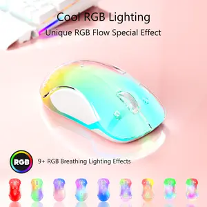 Halokin LED Wireless Mouse for College Students, Lightweight Rechargeable RGB Mouse with DIY Detachable Cover, Aesthetic Desk Setup Accessory for Laptop PC Mac, Back to School Tech Gift
