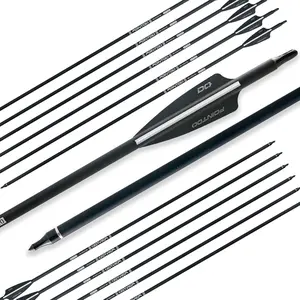 28"/30"/32Inch Carbon Arrow Practice Hunting Arrows with Removable Tips for Compound & Recurve Bow(Pack of 12)