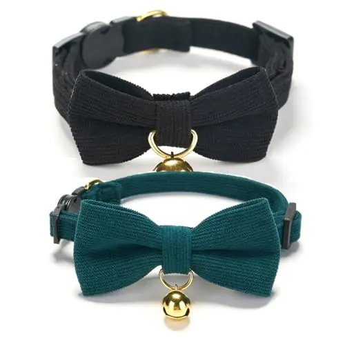 Corduroy Black Green