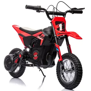 Kids Ride-On Toy, Electric Riding Toy with Durable Frame, Outdoor Toy for Ages 8+