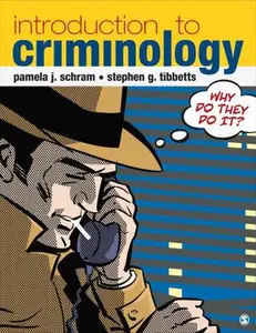 USED-Introduction to Criminology: Why Do They Do It? by Pamela J. Schram (Paperback)