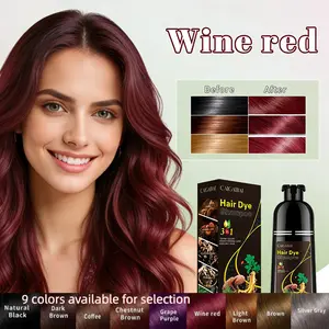 Gentle Hair Dye Shampoo 500ML, 30min Safe Color, Natural Extracts, Perfect Coverage, Liquid Form, Single Item Pack