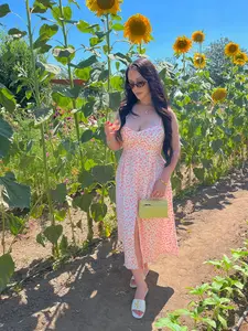 Summer in Paris Dress