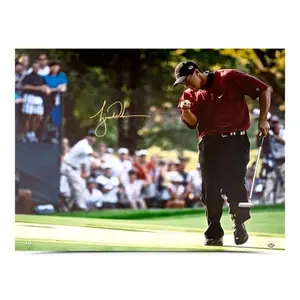 Tiger Woods Autographed 2000 PGA Championship - Unframed Print Poster