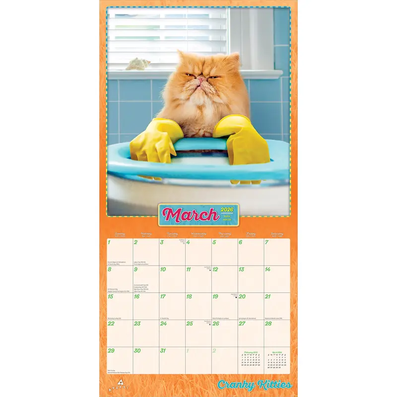 Avanti Cranky Kitties OFFICIAL | 2026 12 x 24 Inch (Hanging) Monthly Square Wall Calendar | Plato | Angry Cat Humor 3