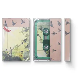 W!LD CASSETTE TAPE ALT 2