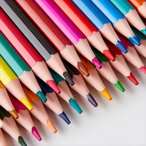 48-Color Colored Pencils Set with Eraser - Artist Pencil Set - Perfect for Art, Drawing and Coloring - Soft Oil-Based Cores Ideal for Adults and Beginners, Model Drawing