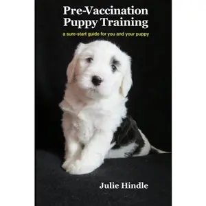 USED-Pre-Vaccination Puppy Training: a sure-start guide for you and your puppy by Julie Hindle (Paperback)