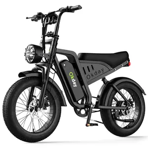 Okday 500W High Perfomance Electric Bike for Adults 25MPH Long Range E-Bike 64" All-TerrainTires Dual Brakes Carbon Steel FrameSmooth Stable Ride