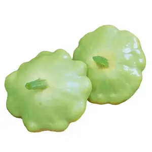 Squash Seeds , Scallop- Summer - Green Tint