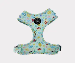 Summer Pawty Adjustable Harness - Summer Collection
