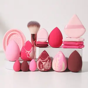 1pc Makeup Brush Sets For Face Make-Up+1pc Makeup Brush Cleaning Tools+9PCS Makeup Sponge For Face Make-Up+7PCS Powder Puff For Face Make-Up, Flawless, Cosmetic