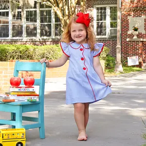 Adorable Apple Blue Gingham Dress - Cute Back to School Outfit for Girls