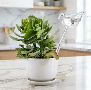 Bird‑Shaped Self‑Watering 3pcs Spikes, Automatic Plant Drip Irrigation Devices, Transparent Plastic Watering Tools for Indoor & Outdoor Gardening